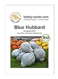 Blue Hubbard BIO Kürbissamen von Bobby-Seeds Portion Foto, bester Preis 2,75 € neu 2024