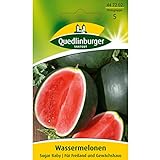 Wassermelone, Sugar Baby Foto, bester Preis 2,70 € (0,14 € / stück) neu 2024