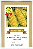 Zuckermais - Mais -Tasty Sweet F1 Hybride - sehr süß - früh reifend - 50 Samen Foto, bester Preis 2,49 € neu 2024