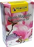 Abono Magnolios y Árboles de flor Foto, mejor precio 13,45 € nuevo 2024