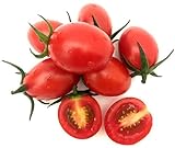 300 piezas de semillas de tomate semillas de hortalizas heirloom uno de los tomates más deliciosos para el cultivo doméstico Foto, mejor precio 4,99 € nuevo 2024