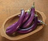 David's Garden Seeds Eggplant Asian Delite (Purple) 25 Non-GMO, Hybrid Seeds Photo, best price $3.45 new 2024