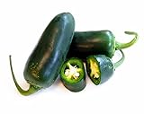 Hot Chili Pfeffer Jalapeno Ruben - Pepper - sehr ertragreich - 10 Samen Foto, bester Preis 1,60 € neu 2024
