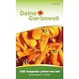 Chili Hungaria yellow wax hot - Capsicum baccatum - Chilisamen - scharfe Sorte - Gemüsesamen - Saatgut für 6 Pflanzen Foto, bester Preis 1,99 € (0,33 € / stück) neu 2024