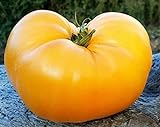 50 semillas de tomate huerto, granja plantación semillas de hortalizas carne de naranja llena de naranja semillas raras esenciales Foto, mejor precio 4,99 € nuevo 2024