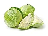 Late Flat Dutch Cabbage Seeds, 1000 Heirloom Seeds Per Packet, Non GMO Seeds, Botanical Name: Brassica oleracea VAR. capitata, Isla's Garden Seeds Photo, best price $5.89 ($0.01 / Count) new 2024