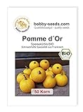 Pomme d´Or BIO Kürbissamen von Bobby-Seeds 50 Korn Foto, bester Preis 2,45 € neu 2024