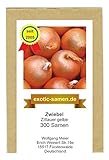Zwiebel - Zittauer Gelbe (300 Samen) Foto, bester Preis 1,95 € neu 2024