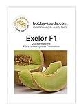 Melonensamen Exelor F1 Galiamelone Portion Foto, bester Preis 2,35 € neu 2024