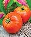 Photo Burpee Better Boy Hybrid Large Slicing Red Variety Non-GMO Vegetable Planting | Disease-Resistant Tomato for Garden, 30 Seeds