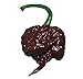 Photo Chocolate Carolina Reaper HP22B Pepper Premium Seed Packet Record Hottest in The World + More