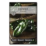 Sow Right Seeds - Poblano Pepper Seeds for Planting - Make Ancho Chiles at Home - Non-GMO Heirloom Packet with Instructions to Plant a Home Vegetable Garden… Photo, best price $4.99 new 2024
