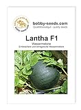Melonensamen Lantha F1 Wassermelone Portion Foto, bester Preis 2,75 € neu 2024