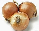 Onion, Yellow Spanish Onion Seeds, (25+ Seeds) Heirloom, Non- GMO, One of The Most Popular for Gardeners, This Jumbo-Sized Onion is mild with Golden Brown Skin. Photo, best price $1.99 new 2024