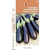 France Graines - Aubergine de Barbentane Photo, meilleur prix 4,95 € nouveau 2024