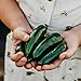 Photo Nadapeno Jalapeno Pepper - 25 Seeds - Heirloom & Open-Pollinated Variety, Non-GMO Vegetable Seeds for Planting in The Home Garden, Thresh Seed Company