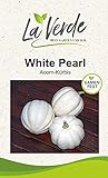 White Pearl Kürbissamen Foto, bester Preis 3,25 € neu 2024