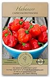 Gaea's Blessing Seeds - Habanero Pepper Seeds (100 Seeds) Non-GMO Seeds with Easy to Follow Planting Instructions - Open-Pollinated Heirloom Hot Pepper Seeds Germination Rate 92% Net Wt. 1.0g Photo, best price $5.99 new 2024