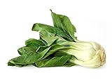 1000+ Canton Pak Choi Bok Choy Chinese Cabbage Seeds Heirloom Non-GMO Productive, Healthy, Brassica rapa VAR. chinensis, a.k.a. Canton's Choice, Bok Choi, US Grown! Photo, best price $5.59 new 2024
