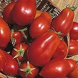 Shop Meeko Tomate - San Marzano - 75 graines Photo, meilleur prix 4,59 € nouveau 2024