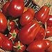 Photo Shop Meeko Tomate - San Marzano - 75 graines