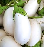 David's Garden Seeds Eggplant White Star (White) 25 Non-GMO, Hybrid Seeds Photo, best price $3.45 new 2024
