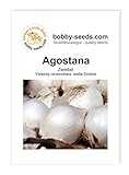 Zwiebelsamen Agostana Portion Foto, bester Preis 1,35 € neu 2024