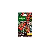 Vilmorin - Sachet graines Tomate Harmony HF1 Photo, meilleur prix 7,75 € nouveau 2024