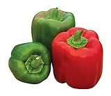 Burpee 'Sweet Candy Apple' Hybrid | Bell Pepper Photo, best price $8.38 ($0.28 / Count) new 2024