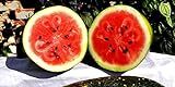 25 Moon and Star Watermelon Seeds | Non-GMO | Heirloom | Instant Latch Garden Seeds Photo, best price $7.95 new 2024