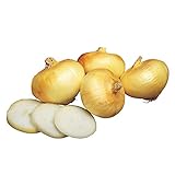 Burpee Granex Yellow Onion Seeds 450 seeds Photo, best price $6.57 new 2024