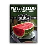Survival Garden Seeds - Georgia Rattlesnake Watermelon Seed for Planting - Packet with Instructions to Plant and Grow Melons in Your Home Vegetable Garden - Giant Super Sweet Non-GMO Heirloom Variety Photo, best price $4.99 new 2024