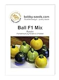 Kürbissamen Ball Mix F1 Zucchini Rondinimischung Portion Foto, bester Preis 2,95 € neu 2024