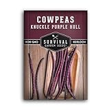 Survival Garden Seeds - Knuckle Purple Hull Cowpeas Seed for Planting - Packet with Instructions to Plant and Grow Delicious & Nutritious Peas in Your Home Vegetable Garden - Non-GMO Heirloom Variety Photo, best price $4.99 new 2024