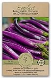 Gaea's Blessing Seeds - Eggplant Seeds - Long Purple Heirloom Non-GMO Seeds with Easy to Follow Planting Instructions - 91% Germination Rate Net Wt. 1.0g Photo, best price $5.99 new 2024