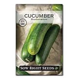 Sow Right Seeds - Marketmore Cucumber Seeds for Planting - Non-GMO Heirloom Packet with Instructions to Plant and Grow an Outdoor Home Vegetable Garden - Vigorous Productive - Wonderful Gardening Gift Photo, best price $4.99 new 2024
