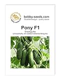 Pony F1 Snackgurkensamen von bobby-seeds Portion Foto, bester Preis 4,69 € neu 2024