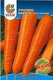 Zanahoria Nantesa WAM - Sobre de 10 gr Foto, mejor precio 2,01 € nuevo 2024