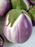 Rosa Bianca Eggplant Seeds, 100+ Heirloom Seeds Per Packet, (Isla's Garden Seeds), Non GMO Seeds, Botanical Name: Solanum melongena Photo, best price $5.99 ($0.06 / Count) new 2024