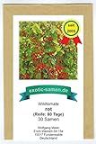 Wildtomate rot - krankheitsresistent - auch für den Kübel oder Hängeampel - 30 Samen Foto, bester Preis 2,19 € (0,07 € / stück) neu 2024