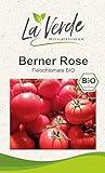 Berner Rose BIO Tomatensamen Foto, bester Preis 3,25 € neu 2024