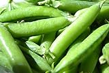 Sugar Ann Snap Pea Garden Seeds, 50 Heirloom Seeds Per Packet, Non GMO Seeds Photo, best price $6.25 ($0.12 / Count) new 2024