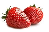 MOCCUROD 150pcs Giant Strawberry Seeds Evergreening Plant Fruit Seeds Sweet and Delicious Photo, best price $7.99 ($0.05 / Count) new 2024