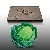100 graines - CHOU CABUS - de Brunswick - Brassica oleracea Photo, meilleur prix 2,19 € (0,02 € / unité) nouveau 2024