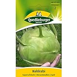 Quedlinburger Kohlrabi Superschmelz,1 Portion Foto, bester Preis 2,12 € (0,01 € / stück) neu 2024