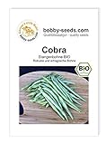 Cobra Stangenbohne BIO-Bohnensamen von Bobby-Seeds, Portion Foto, bester Preis 2,95 € neu 2024