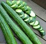 Armenian Dark Green Cucumber Seeds, 100 Heirloom Seeds Per Packet, Non GMO Seeds, Botanical Name: Cucumis sativus, Isla's Garden Seeds Photo, best price $6.25 ($0.06 / Count) new 2024