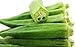 Photo 50 pièces Graines de gombo Légume vert frais sans OGM biologique dans un potager en vrac