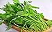 Photo Swamp Cabbage 100PCS Seeds Delicious Green Leaf Vegetable Yard Garden Plant