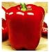 Photo Asti rouge graines de poivre carré - légumes - capsicum annuum - environ 400 graines - les meilleures graines de plantes - fleurs - fruits rares - poivrons rouges - idée cadeau originale